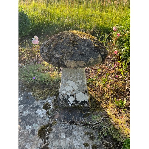 1014 - A  tall natural stone staddle stone and cap, 73cm high, 50cm diameter approximately (cap uneven with... 