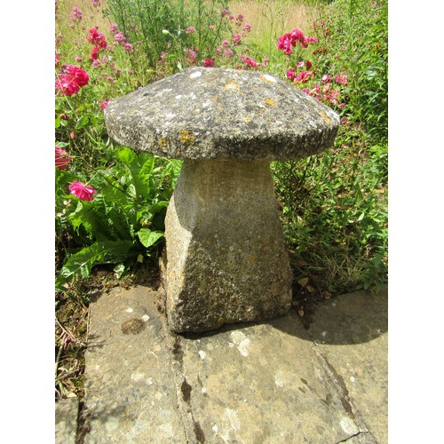 1032 - A weathered natural stone staddle stone and cap, 66cm high, 56cm diameter (with losses to cap) 66cm ... 