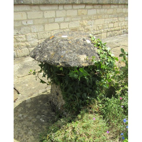 1033 - A weathered natural stone staddle stone and cap, ivy covered, 66cm high, 60cm diameter (2)

From the... 