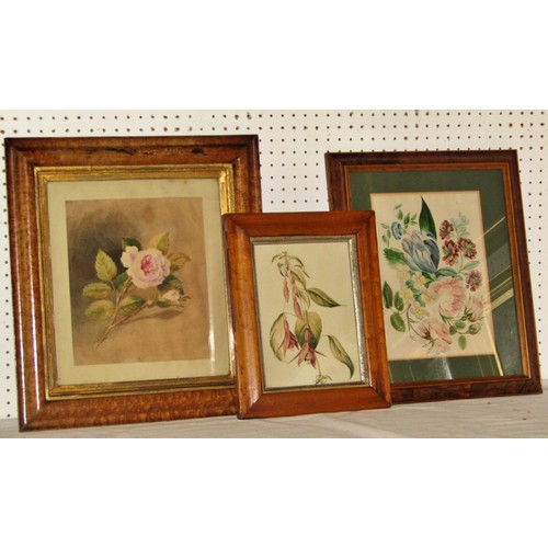 1970 - Four framed c.19th works, to include: Three Victorian watercolour botanical studies, two framed in b... 