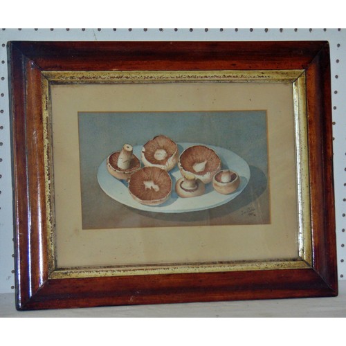 1974 - Four paintings to include: Watercolour study of a plate of mushrooms, indistinctly signed 'J. M. Pic... 