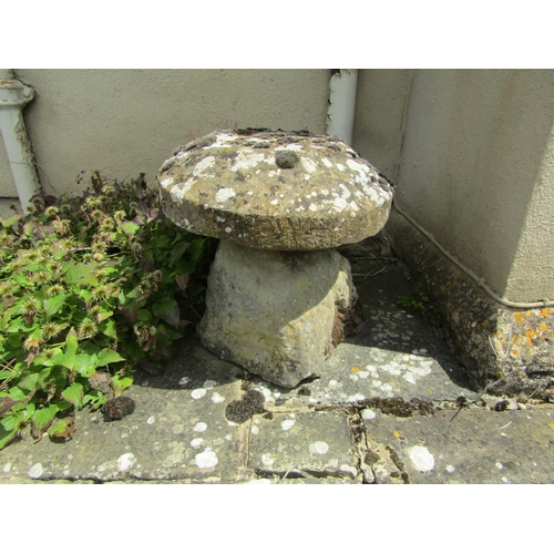 1038 - A small weathered natural stone staddle stone and cap, 46cm high, 43cm diameter approximately

From ... 