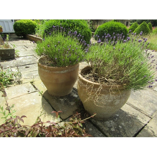 1039 - pair of weathered terracotta planters of tapering form with fluted collars, (one severely damaged) e... 