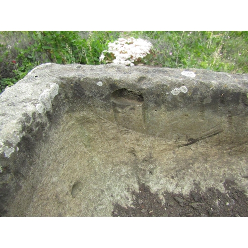 1046 - A small weathered stone planter / trough of rectangular form, 21cm high, 93 x 35cm.

From the collec... 