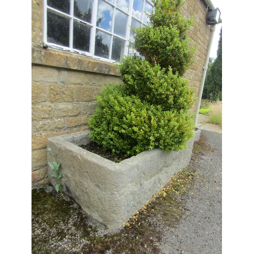 1063 - A large weathered natural stone planter / trough of rectangular form, planted with a well establishe... 