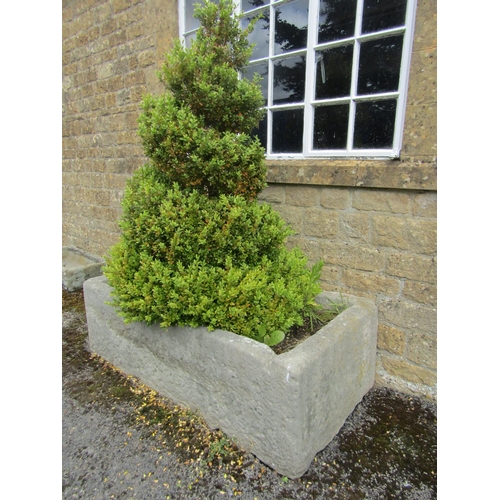 1063 - A large weathered natural stone planter / trough of rectangular form, planted with a well establishe... 