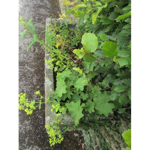 1070 - A weathered natural stone planter / trough of rectangular form, raised on a pair of assorted tall st... 