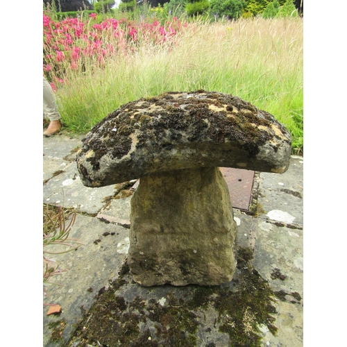 1086 - A weathered natural stone staddle stone and cap (with losses to cap) 63cm high, 60cm diameter approx... 