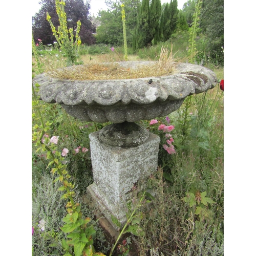 1095 - A large and impressive weathered antique garden urn planter of foliate ribbed circular form, raised ... 