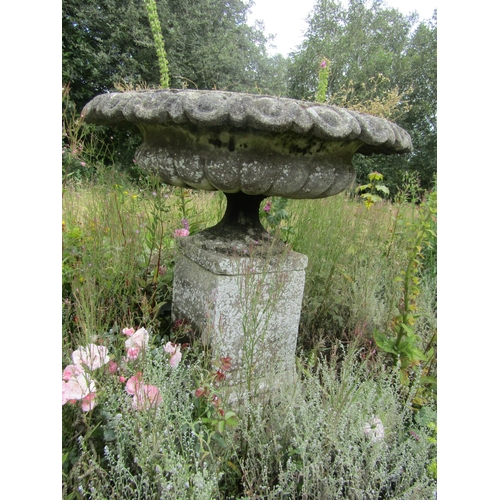 1095 - A large and impressive weathered antique garden urn planter of foliate ribbed circular form, raised ... 