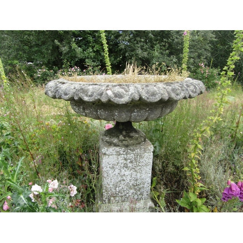 1095 - A large and impressive weathered antique garden urn planter of foliate ribbed circular form, raised ... 