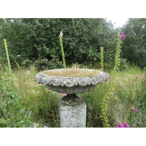 1095 - A large and impressive weathered antique garden urn planter of foliate ribbed circular form, raised ... 