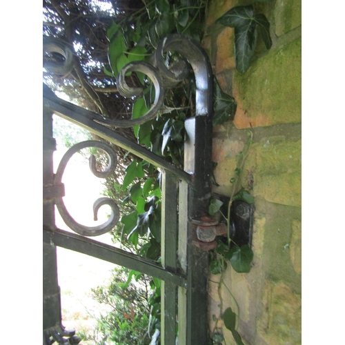 1096 - A pair of good quality contemporary garden gates, 184cm high, 148 wide. 

From the collection of a p... 