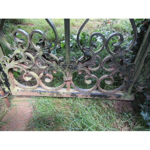 1096 - A pair of good quality contemporary garden gates, 184cm high, 148 wide. 

From the collection of a p... 