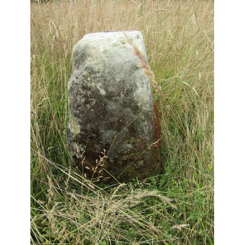 1105 - Six natural weathered staddle stone bases (lacking caps) the highest 58cm high

From the collection ... 