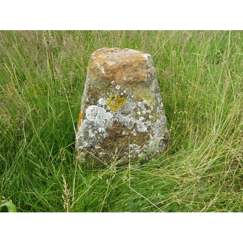 1105 - Six natural weathered staddle stone bases (lacking caps) the highest 58cm high

From the collection ... 