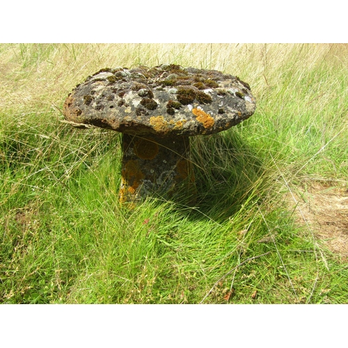 1106 - A weathered natural staddle stone and cap (2) 55 cm high, 55cm cap diameter

From the collection of ... 