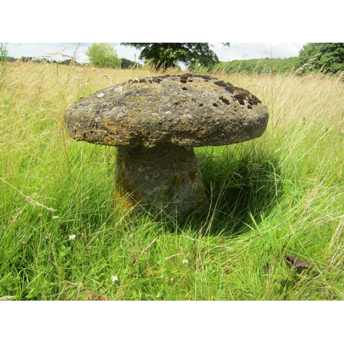 1108 - A weathered natural staddle stone and cap (2) 48 cm high, 60cm cap diameter

From the collection of ... 