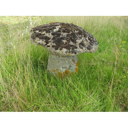 1109 - A weathered natural staddle stone and cap (2) 60 cm high, 58cm cap diameter

From the collection of ... 