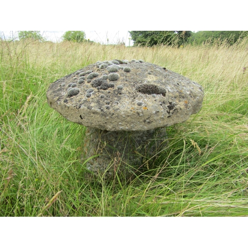 1112 - A weathered natural staddle stone and cap (2) 38 cm high, 53cm cap diameter

From the collection of ... 