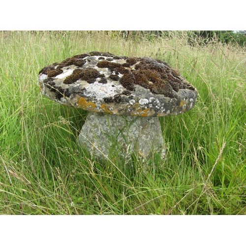 1113 - A weathered natural staddle stone and cap (2) 44 cm high, 54cm cap diameter

From the collection of ... 