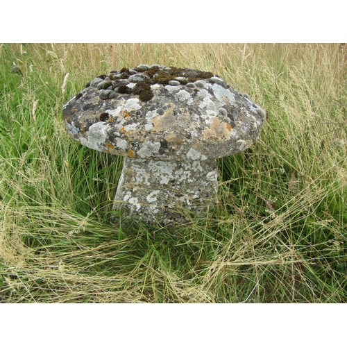 1117 - A weathered natural staddle stone and cap (2) 39 cm high, 45 cm cap diameter

From the collection of... 