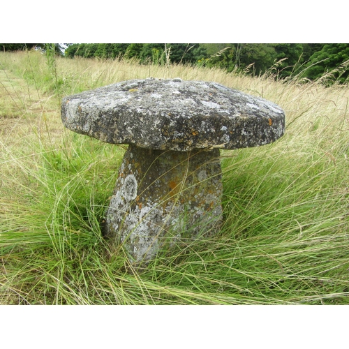 1118 - A weathered natural staddle stone and cap (2) 47 cm high, 55cm cap diameter

From the collection of ... 