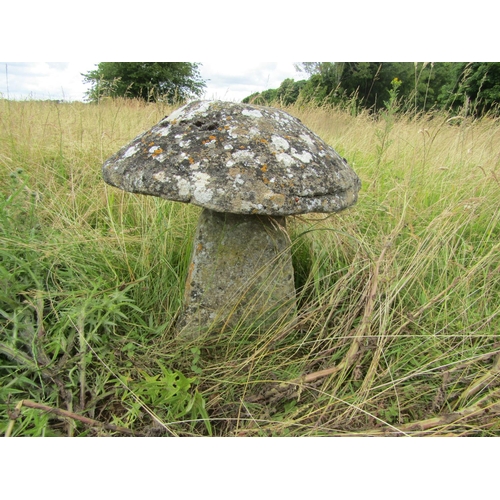 1119 - A weathered natural staddle stone and cap (2) 47cm high, 52cm cap diameter

From the collection of a... 