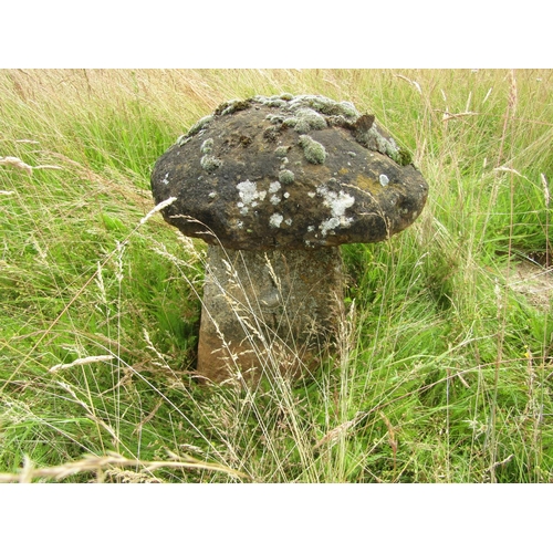 1120 - A weathered natural staddle stone and cap (2) 60 cm high, 50cm cap diameter

From the collection of ... 