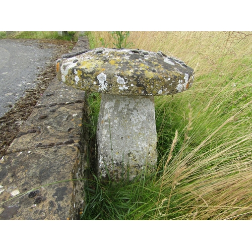 1122 - A weathered natural staddle stone and cap (2) 74 cm high, 60cm cap diameter

From the collection of ... 