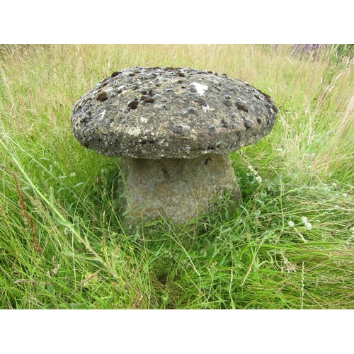 1123 - A weathered natural staddle stone and cap (2) 61 cm high, 54cm cap diameter

From the collection of ... 