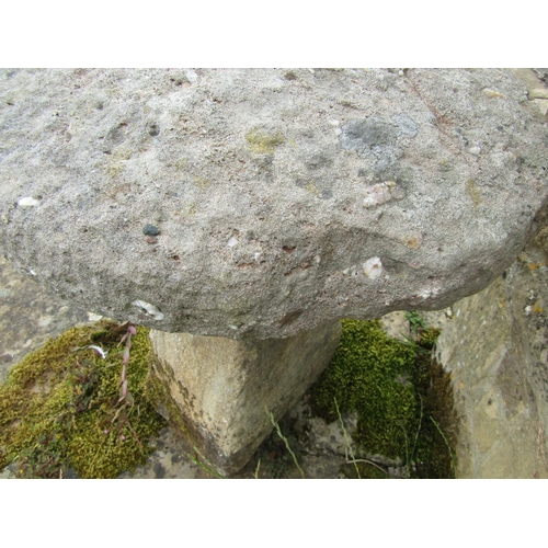 1127 - A weathered natural staddle stone and pierced circular cap (2) 69 cm high, 50cm cap diameter

From t... 