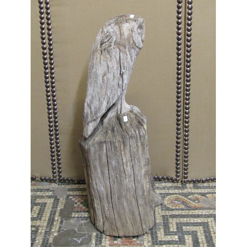 1150 - A large weathered carved oak barn owl, with provenance from the International Centre for Birds of Pr... 