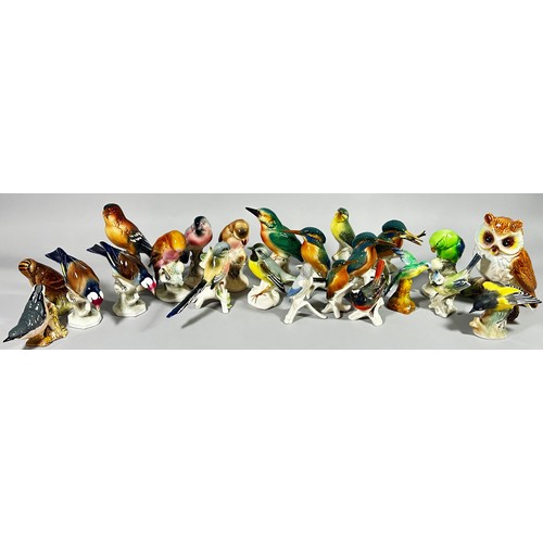 127 - A large collection of ceramic bird ornaments including kingfishers, herons, pheasants, etc (30 appro... 