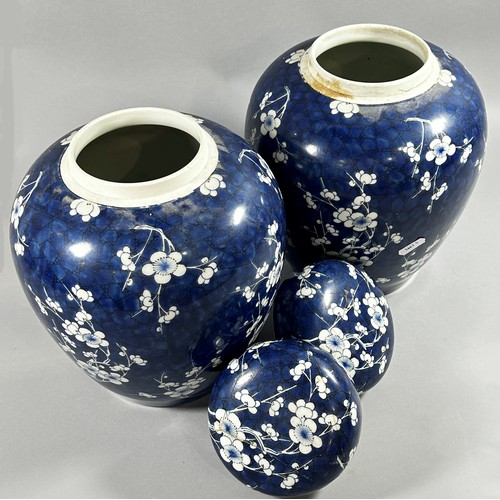 73 - A pair of Chinese oviform ginger jars and covers with hawthorn detail, 28cm high