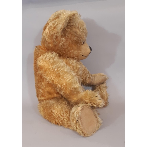 709 - Large vintage teddy bear with golden plush, jointed body, long tapering limbs, velvet paw pads, and ... 