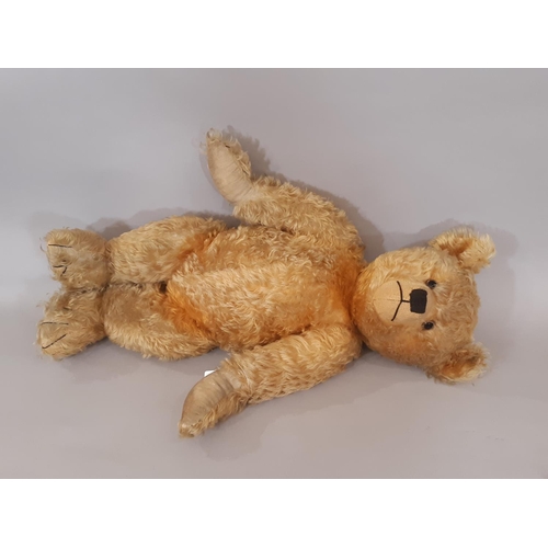 709 - Large vintage teddy bear with golden plush, jointed body, long tapering limbs, velvet paw pads, and ... 