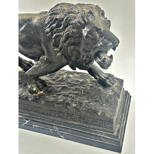 509 - A bronzed study of a male lion after Barye raised on a stepped marble plinth, 37cm wide x 26cm high.