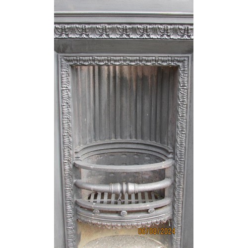 1133 - A Victorian cast iron fire insert, with moulded acanthus borders, 93 x 79cm.