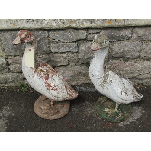 1138 - A pair of weathered painted composition stone geese garden ornaments, each 60cm high.