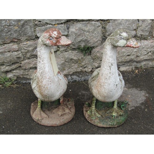 1138 - A pair of weathered painted composition stone geese garden ornaments, each 60cm high.