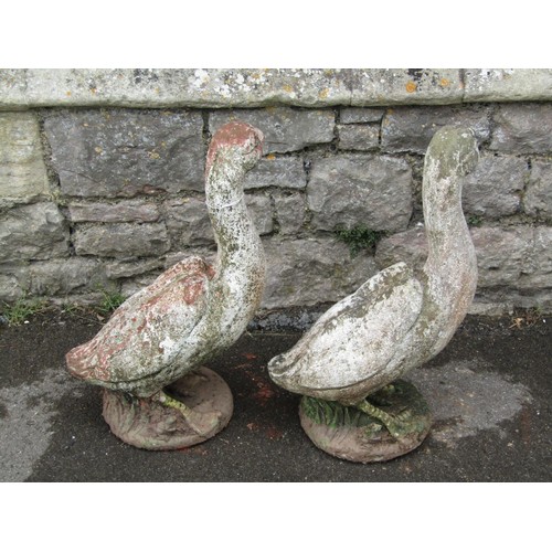 1138 - A pair of weathered painted composition stone geese garden ornaments, each 60cm high.