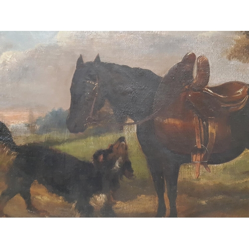 1690 - William Henderson (British, 19th century) - Horse and spaniel in a sublime country landscape, oil on... 