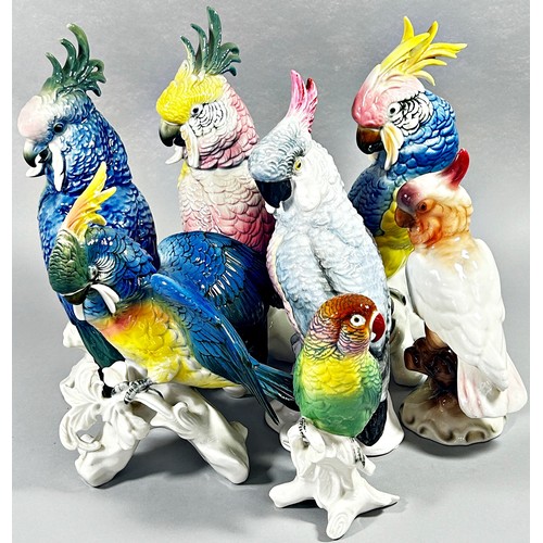 141 - A range of tropical birds including toucans, love bird, parakeets, a cockatoo (15 approx)