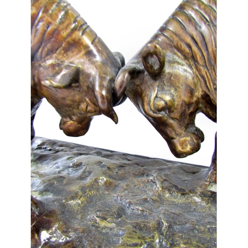 508 - A bronze study of two bulls fighting 51cm wide at plinth base.