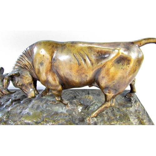 508 - A bronze study of two bulls fighting 51cm wide at plinth base.