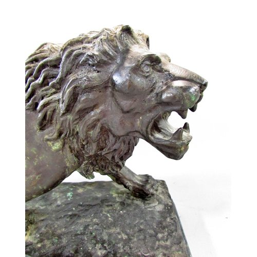 509 - A bronzed study of a male lion after Barye raised on a stepped marble plinth, 37cm wide x 26cm high.