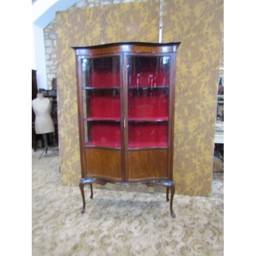 1371 - An Edwardian serpentine mahogany glazed mahogany display cabinet with shelved interior, raised on sl... 