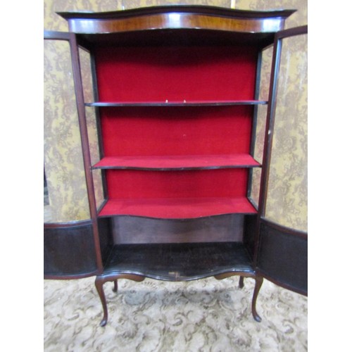 1371 - An Edwardian serpentine mahogany glazed mahogany display cabinet with shelved interior, raised on sl... 