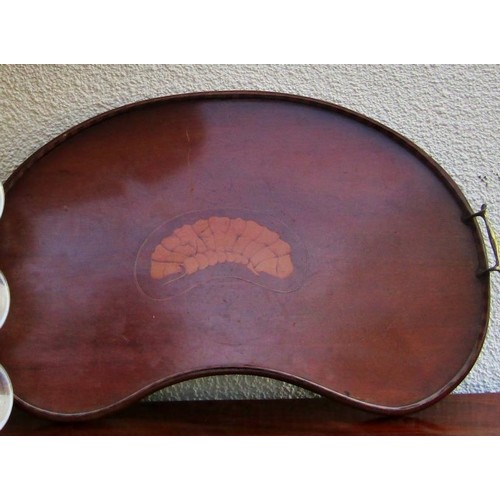 1556 - An Edwardian kidney shaped mahogany drinks tray with inlaid detail, striped borders and brass handle... 